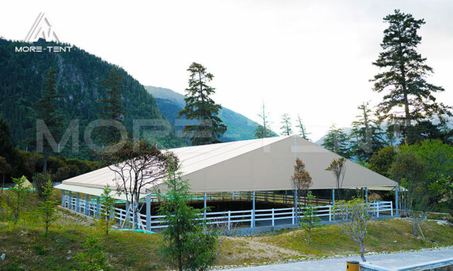 Equestrian Training Riding Hall (2)